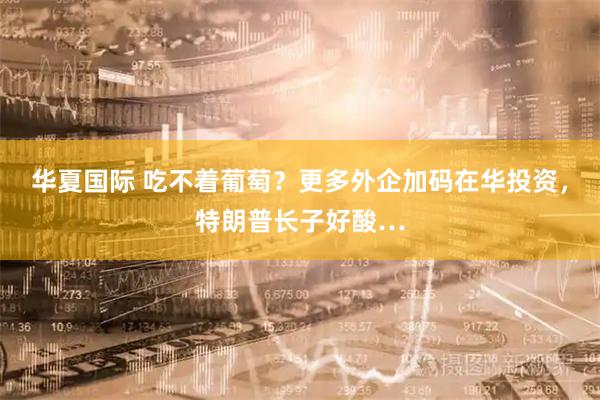 华夏国际 吃不着葡萄？更多外企加码在华投资，特朗普长子好酸…
