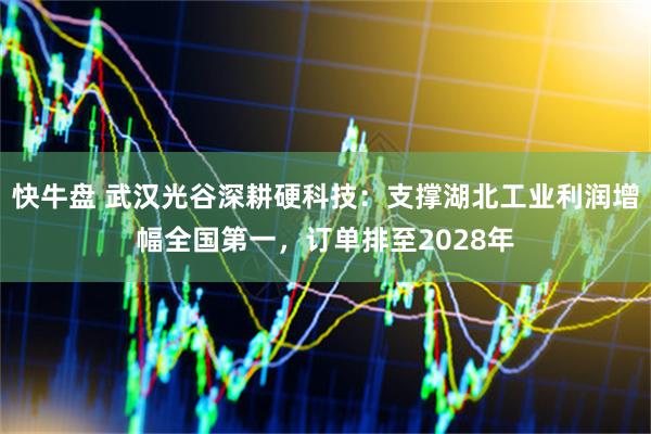 快牛盘 武汉光谷深耕硬科技：支撑湖北工业利润增幅全国第一，订单排至2028年