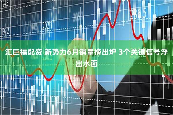 汇巨福配资 新势力6月销量榜出炉 3个关键信号浮出水面