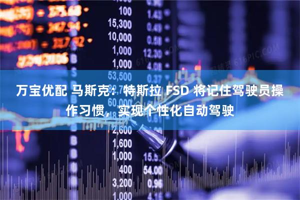 万宝优配 马斯克：特斯拉 FSD 将记住驾驶员操作习惯，实现个性化自动驾驶