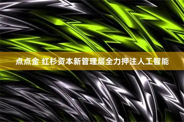 点点金 红杉资本新管理层全力押注人工智能