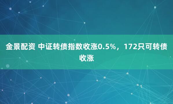 金景配资 中证转债指数收涨0.5%，172只可转债收涨